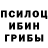 Псилоцибиновые грибы Psilocybe Zeus 4