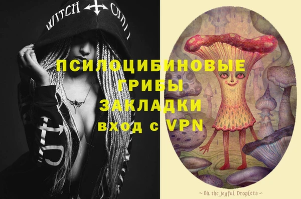 прущие грибы Алексин