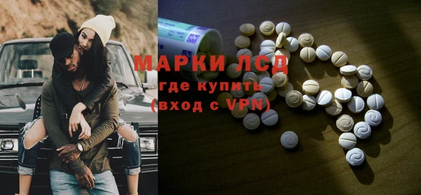 прущие грибы Алексин