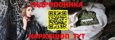 стаф Белореченск
