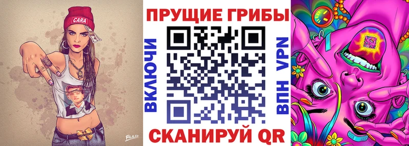 Псилоцибиновые грибы Psilocybe  Биробиджан 