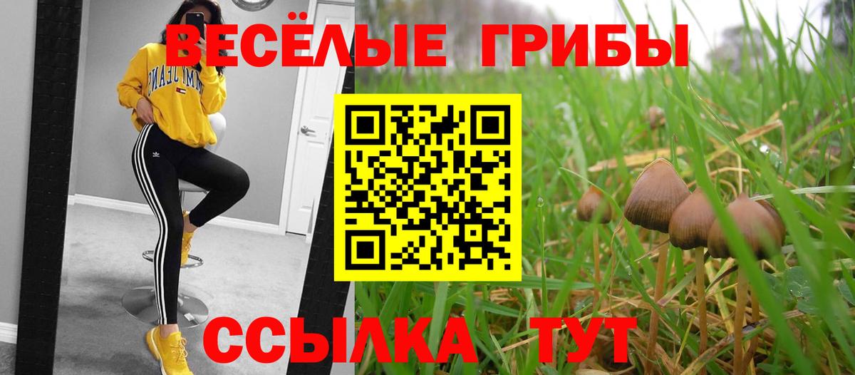 Псилоцибиновые грибы Magic Shrooms Биробиджан